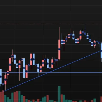 [30일 챌린지 14기 1주차] 