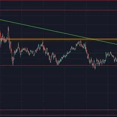 30일 챌린지 14기 1주차