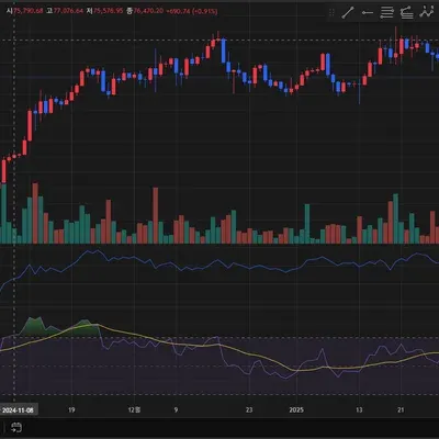 [30일 챌린지 13기 2주차]