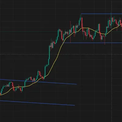 [30일 챌린지 14기 1주차]