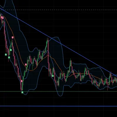 [30일 챌린지 14기 1주차]