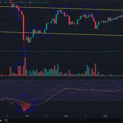 [30일 챌린지 11기 4주차] 이더리움 채널링 매매