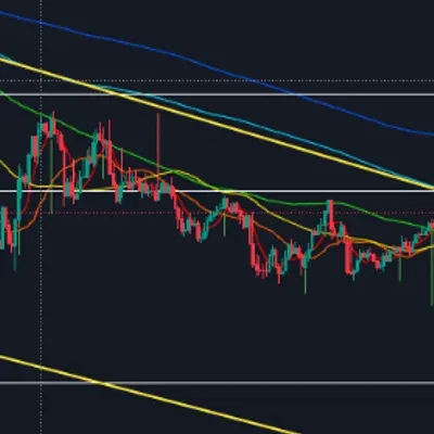 [30일 챌린지 11기 4주차]