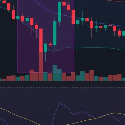 우등생방 비트코인 매매일지