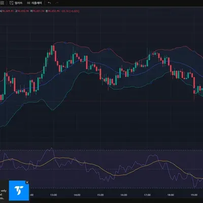 [30일 챌린지 13기 2주차]