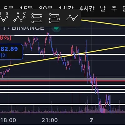 [30일 챌린지 11기 4주차] 손실 인증,,