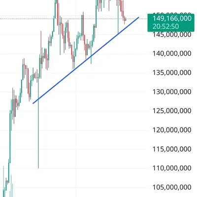 [30일 챌린지 14기 1주차]