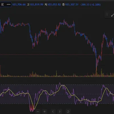 30일챌린지13기2주차미션