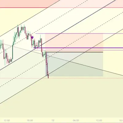 [30일 챌린지 12기 4주차]