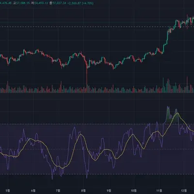 [30일 챌린지 14기 2주차]
