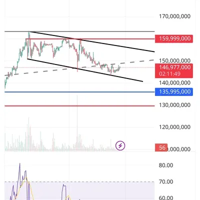 [30일 챌린지 14기 2주차]