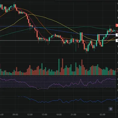 [30일 챌린지 13기 3주차]