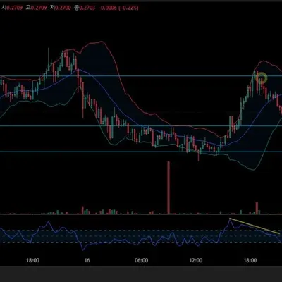 [30일 챌린지 13기 3주차]