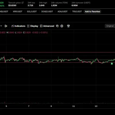 [30일 챌린지 12기 4주차]