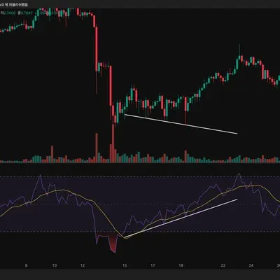 [30일 챌린지 14기 2주차]