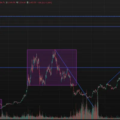 [30일 챌린지 15기 1주차]