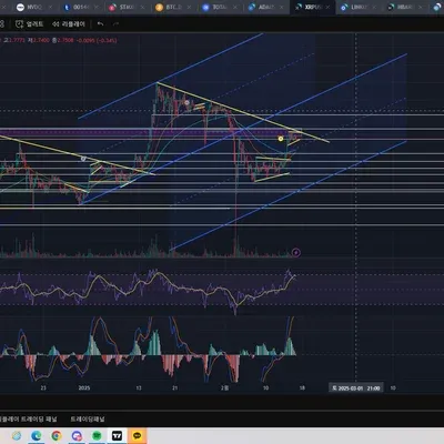 30일 챌린지 12기 4주차 XRP분석 및 매매