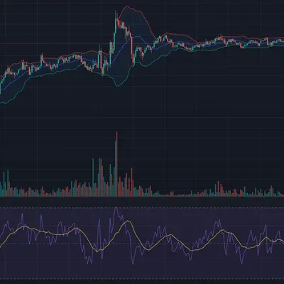 30일 챌린지 14기 2주차