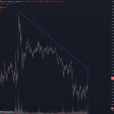 [30일 챌린지 15기 1주차]