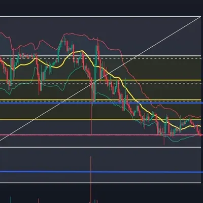 [30일 챌린지 13기 3주차]