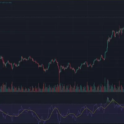 [30일 챌린지 15기 2주차]