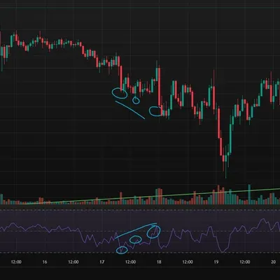 30일 챌린지 15기 2주차