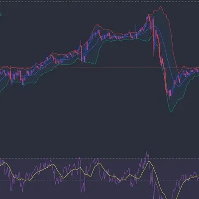 [30일챌린지 15기 2주차]