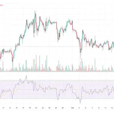 [30일 챌린지  15기 2주차]