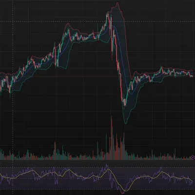 [30일 챌린지 15기 2주차]