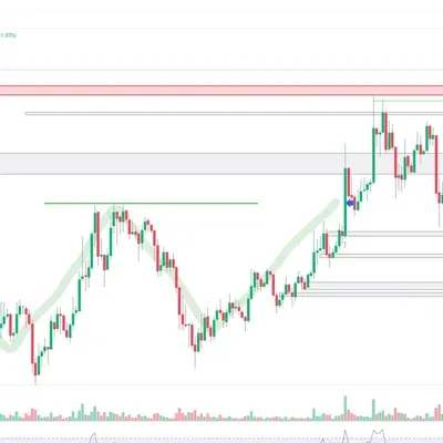 우등생방 수익인증
