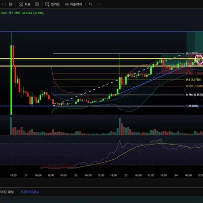 [30일 챌린지 13기 4주차] 늦었지만 미션 제출합니다