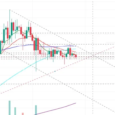 [30일 챌린지 14기 3주차]