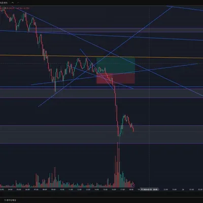 2월25일 매미일지
