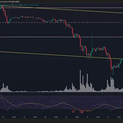 [30일 챌린지 16기 2주차]