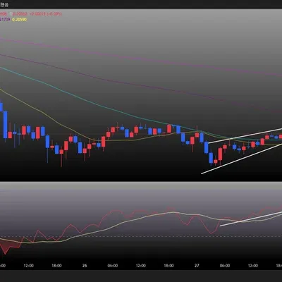 [30일 챌린지 16기 2주차] "RSI지표 추가" 미션