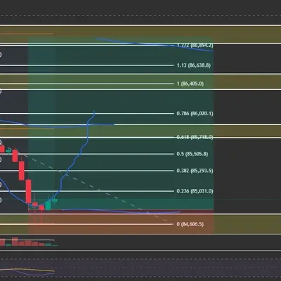 우등생 100회 트레이딩[3회](0승 3패)