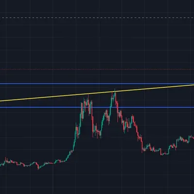 [30일 챌린지 17기 1주차]