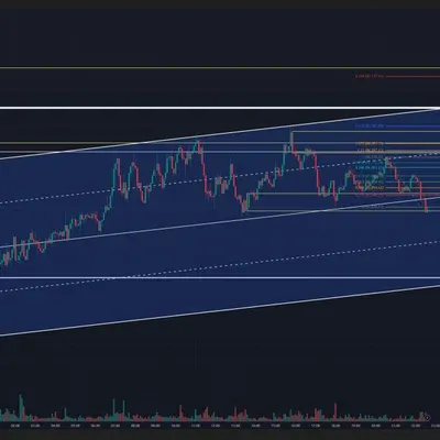100회 트레이딩(4/100)