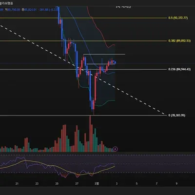 [30일 챌린지 15기 3주차]