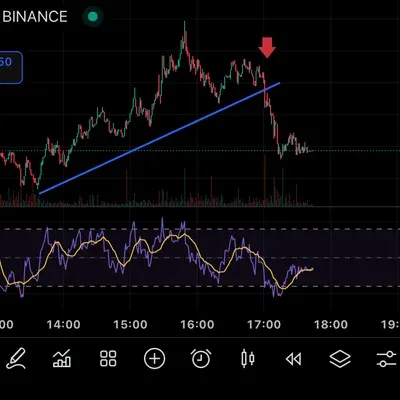 30일 챌린지 17기 (2주차)