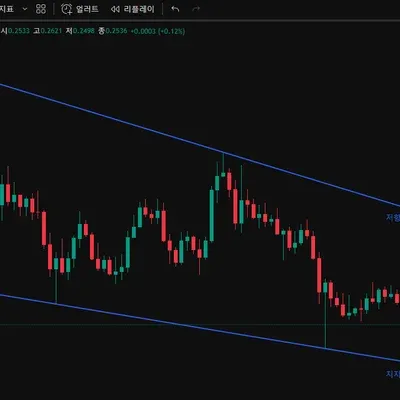 [30일 챌린지 17기 1주차] 지지선 작도