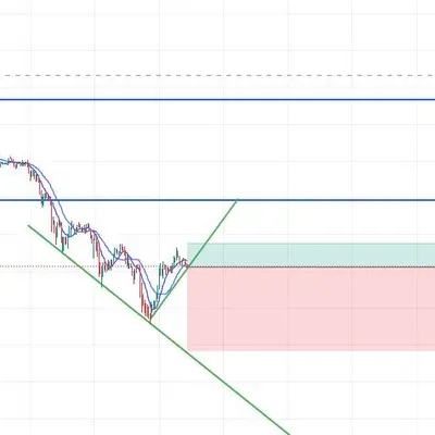 우등생 수익인증