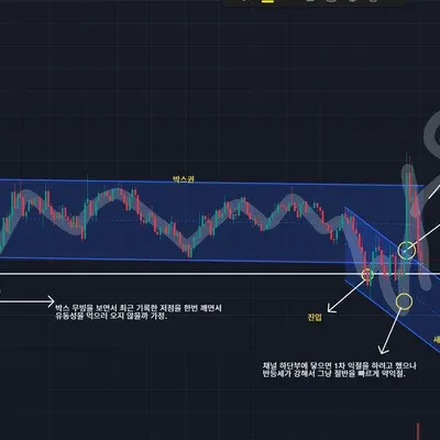 [30일 챌린지 15기 4주차] 손실거래