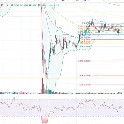 [30일 챌린지 17기 2주차] 상대강도지수와 이동 평균선 활용하기 