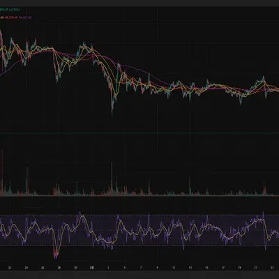 30일 챌린지 17기 2주차