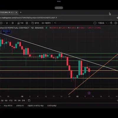 [30일 챌린지 18기 1주차] 지지 저항선 및 추세선