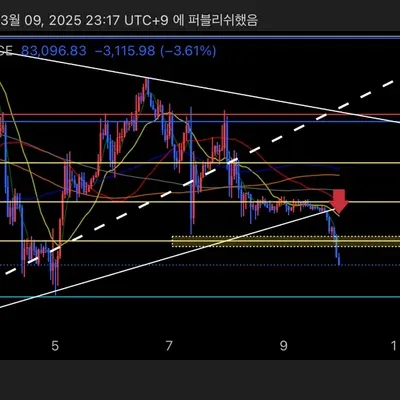 [30일 챌린지 16기 3주차]