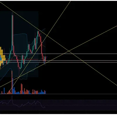 [30일 챌린지 16기 3주차]
