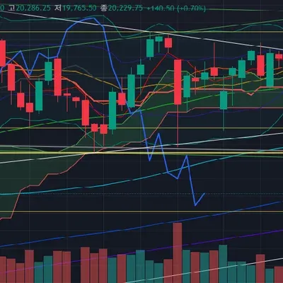 [30일 챌린지 16기 3주차]