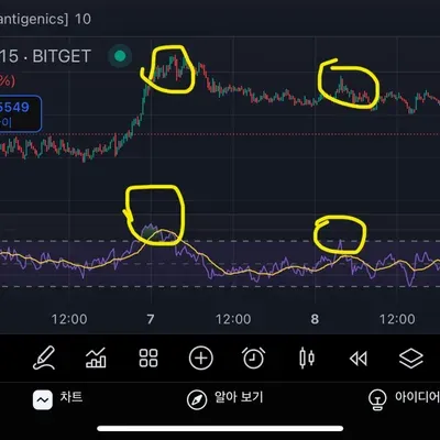 30일 챌린지 17기 2주차